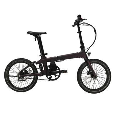 Bicicleta plegable de carbono