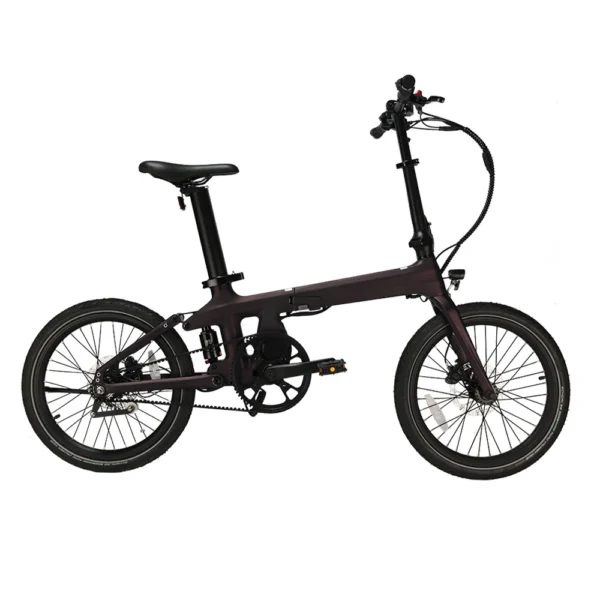 Bicicleta plegable de carbono